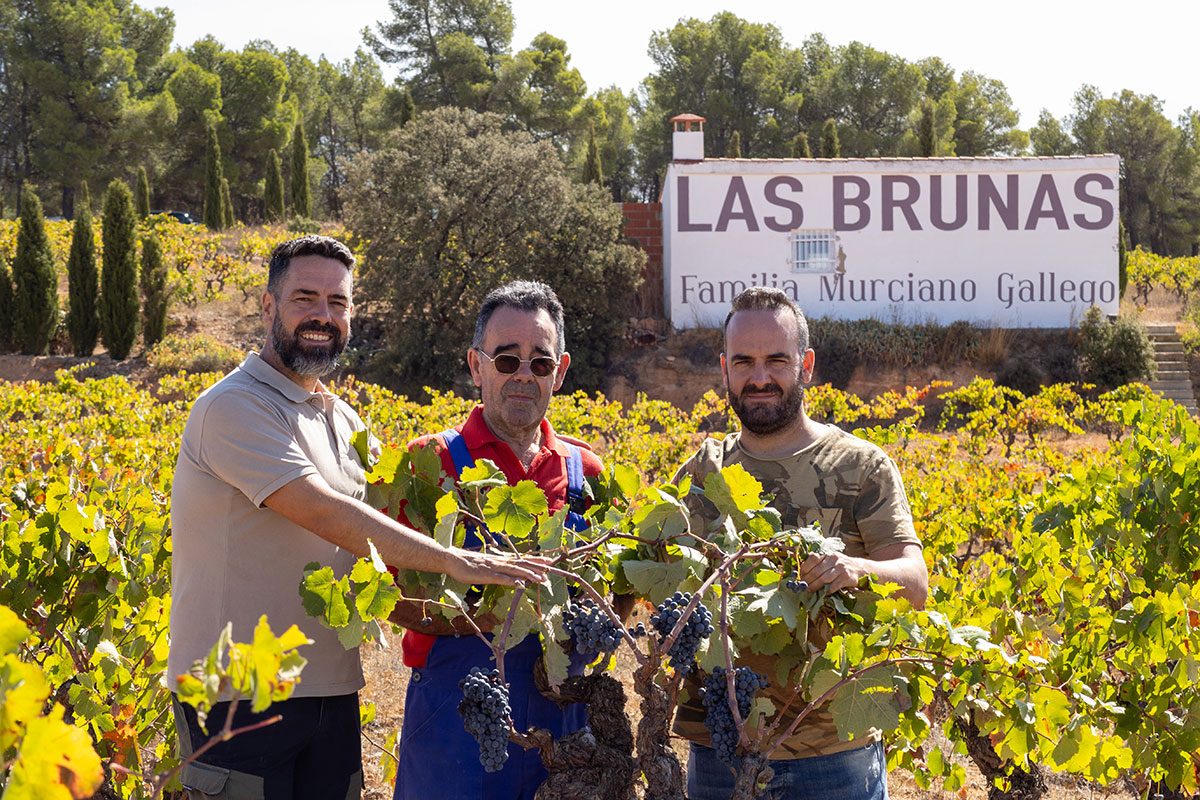 bruno-murciano-historia